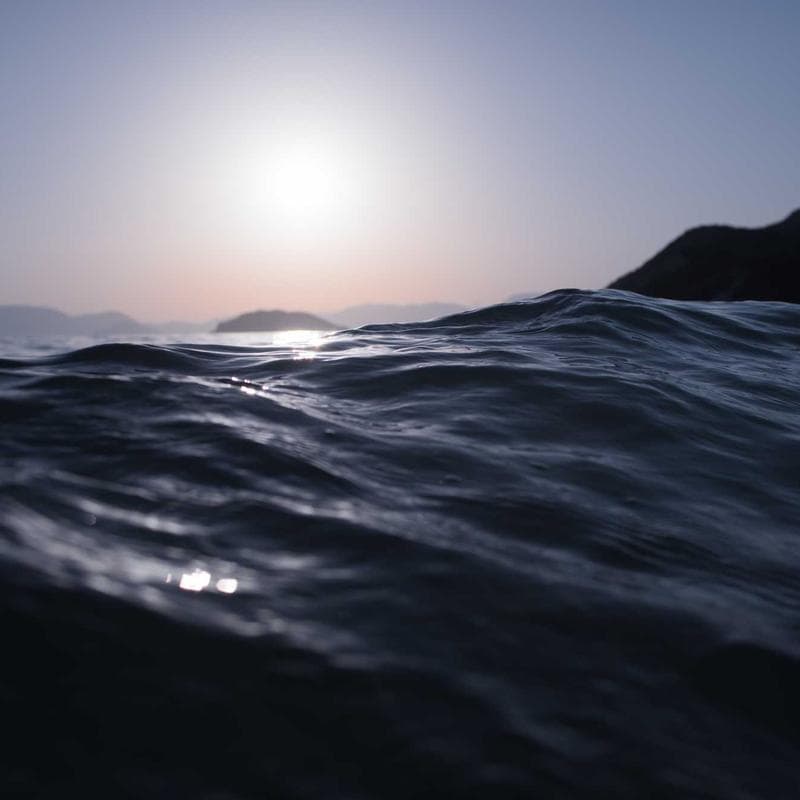 The Ice Cream and the Toad